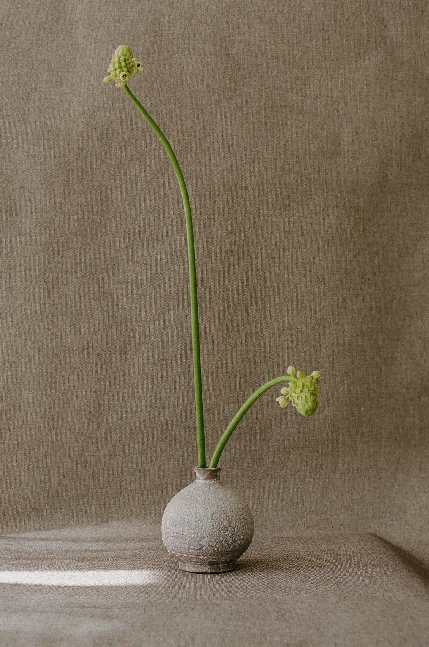 Round Bud Vase, Brown with White Lava